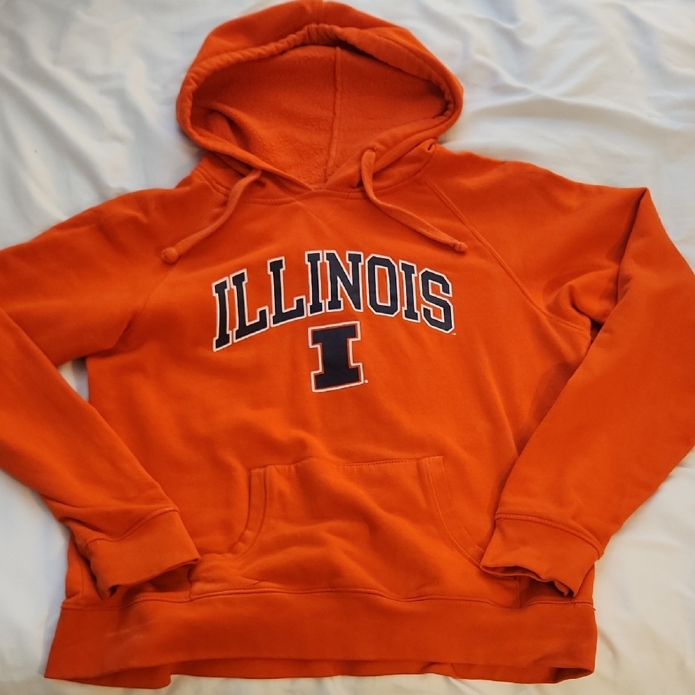 🌸 Illinois Orange Hoodie